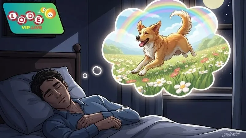 Bí quyết áp dụng con số mơ thấy chó hiệu quả